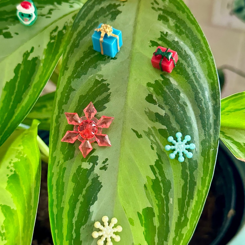 🍃10 pack CHRISTMAS PLANT MAGNETS!🍃 - Picture 3 of 5